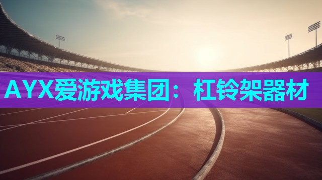 AYX爱游戏集团：杠铃架器材