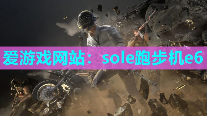 爱游戏网站：sole跑步机e6