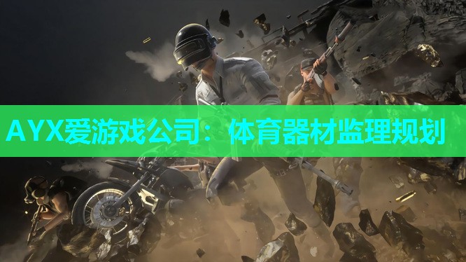 AYX爱游戏公司：体育器材监理规划
