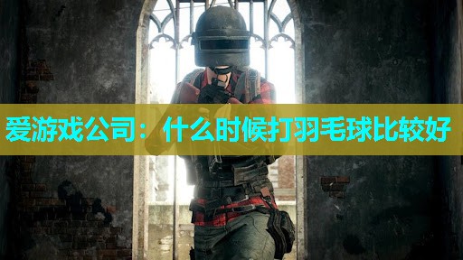 爱游戏公司：什么时候打羽毛球比较好