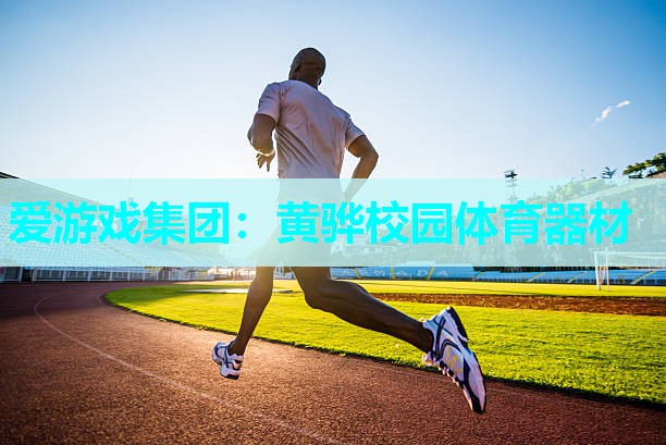 爱游戏集团：黄骅校园体育器材