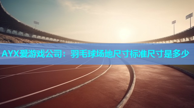 AYX爱游戏公司：羽毛球场地尺寸标准尺寸是多少
