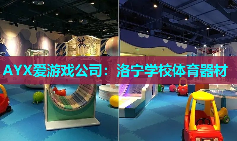 AYX爱游戏公司：洛宁学校体育器材