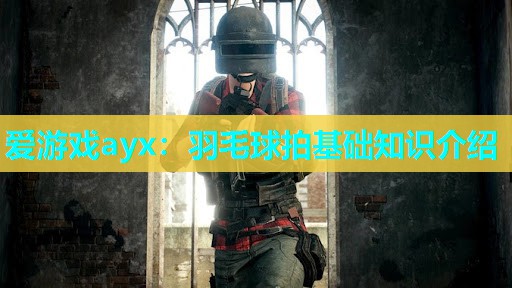 爱游戏ayx：羽毛球拍基础知识介绍