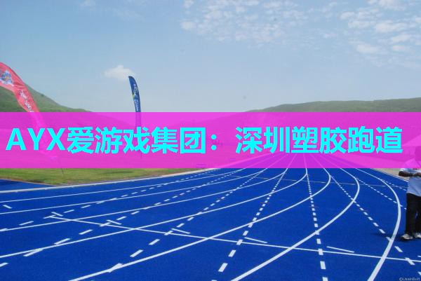 深圳塑胶跑道 深圳塑胶跑道