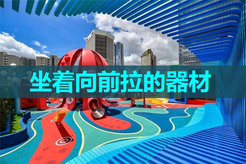 坐着向前拉的器材 坐着向前拉的器材