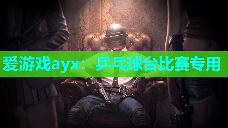 乒乓球台比赛专用 乒乓球台比赛专用