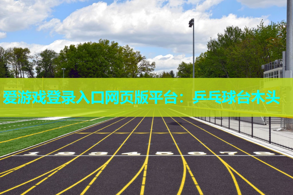乒乓球台木头 乒乓球台木头