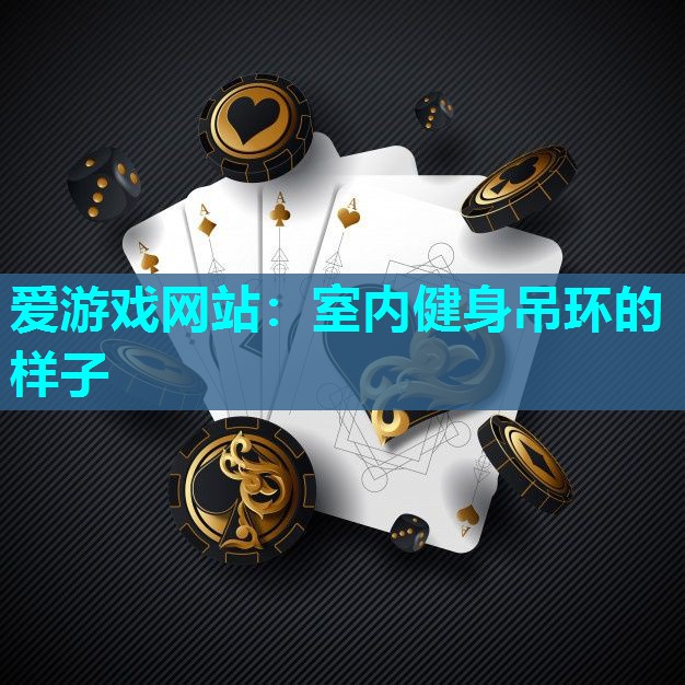 室内健身吊环的样子 室内健身吊环的样子