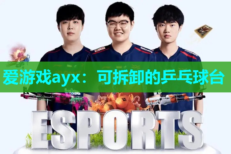 可拆卸的乒乓球台 可拆卸的乒乓球台