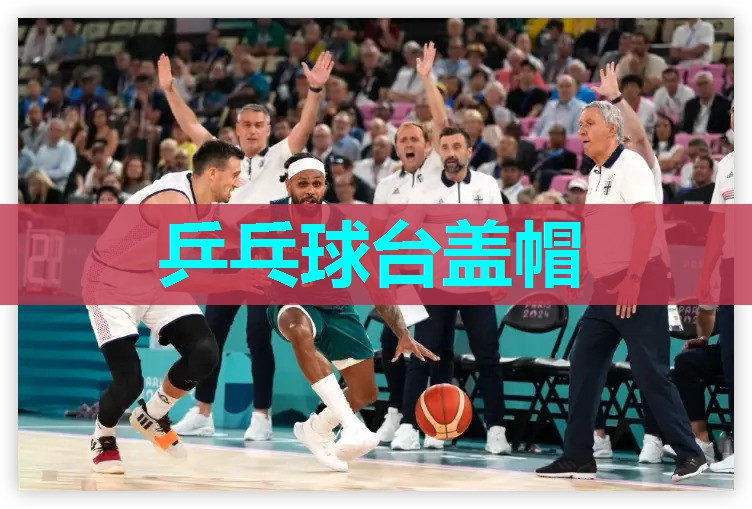 乒乓球台盖帽 乒乓球台盖帽