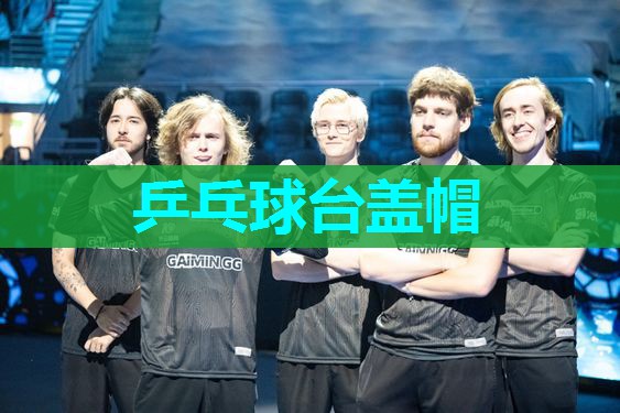 乒乓球台盖帽 乒乓球台盖帽
