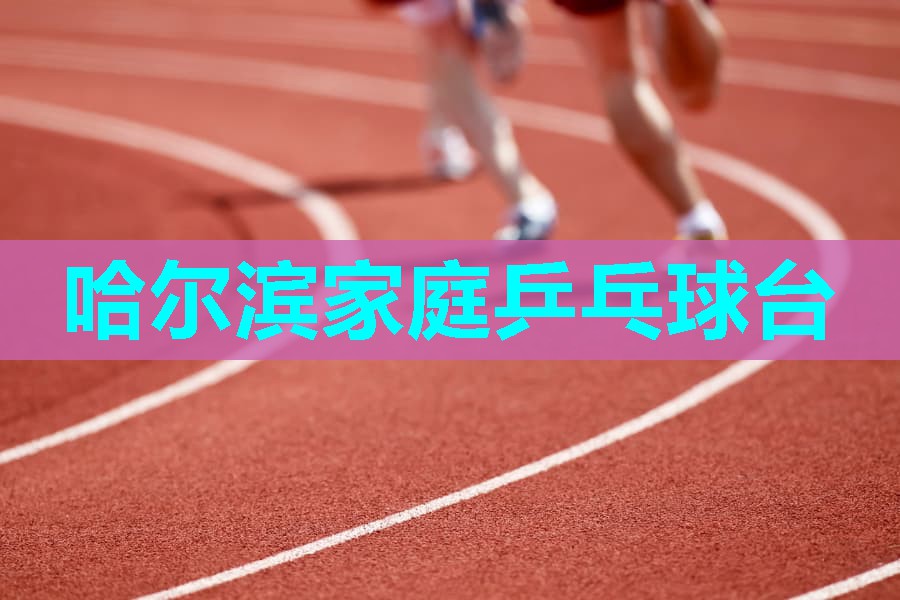 哈尔滨家庭乒乓球台 哈尔滨家庭乒乓球台