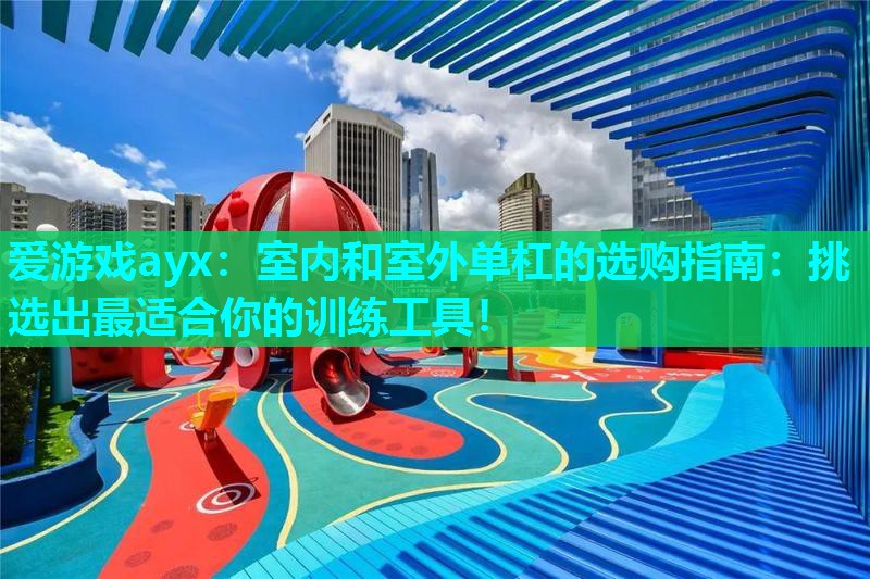 室内和室外单杠的选购指南:挑选出最适合你的训练工具! 室内和室外单杠的选购指南:挑选出最适合你的训练工具!