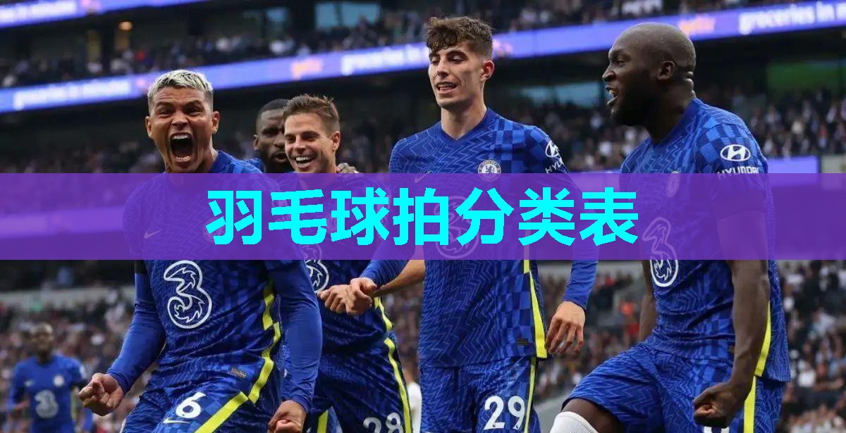 羽毛球拍分类表 羽毛球拍分类表