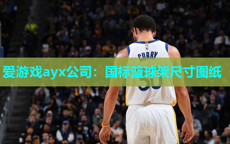 国标篮球架尺寸图纸 国标篮球架尺寸图纸