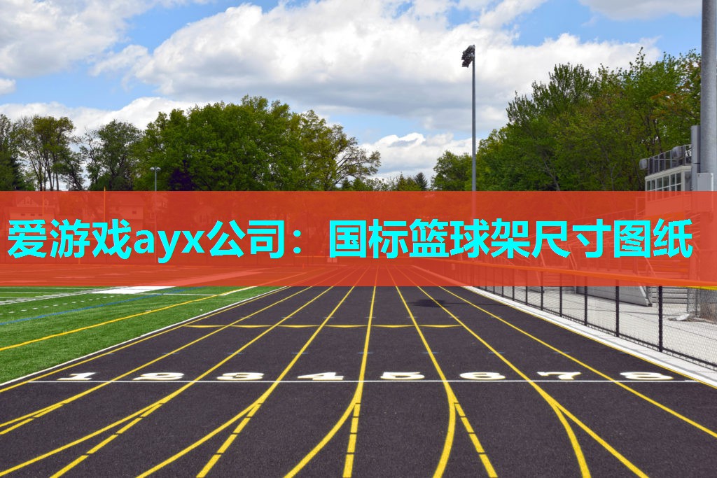 国标篮球架尺寸图纸 国标篮球架尺寸图纸