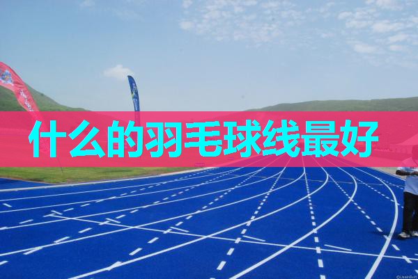什么的羽毛球线最好 什么的羽毛球线最好
