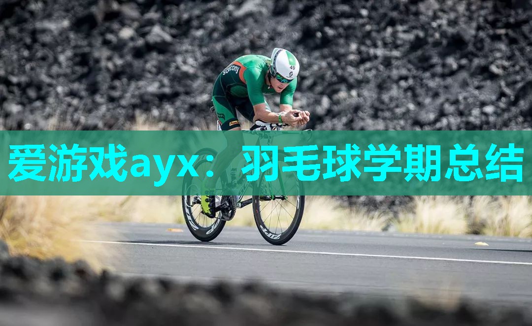 羽毛球学期总结 羽毛球学期总结