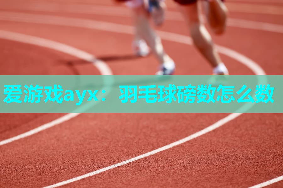 羽毛球磅数怎么数 羽毛球磅数怎么数
