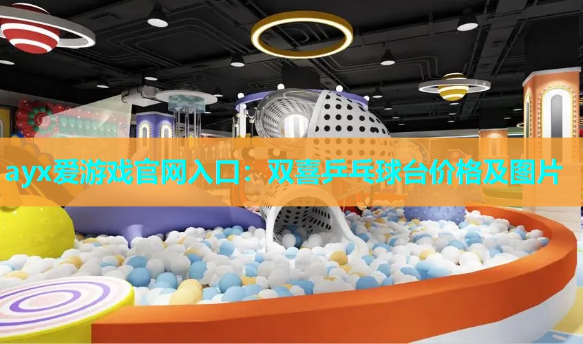双喜乒乓球台价格及图片 双喜乒乓球台价格及图片