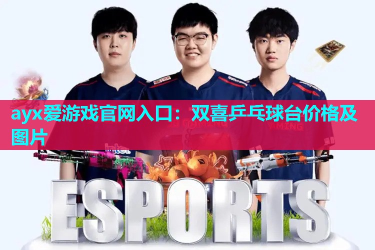 双喜乒乓球台价格及图片 双喜乒乓球台价格及图片