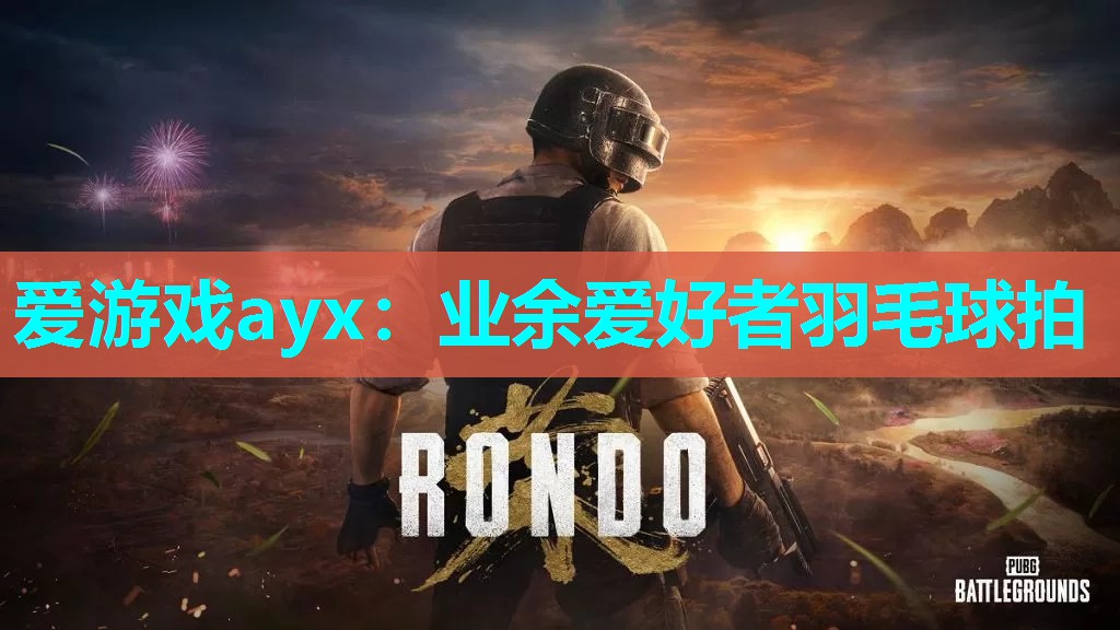 业余爱好者羽毛球拍 业余爱好者羽毛球拍