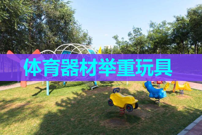 体育器材举重玩具 体育器材举重玩具