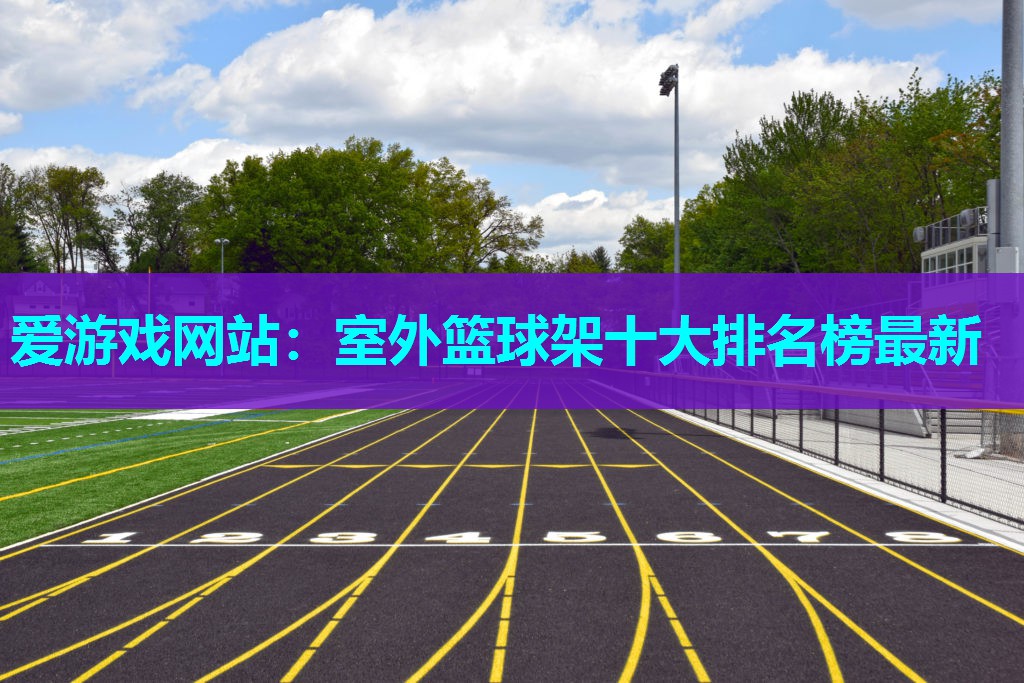 室外篮球架十大排名榜最新