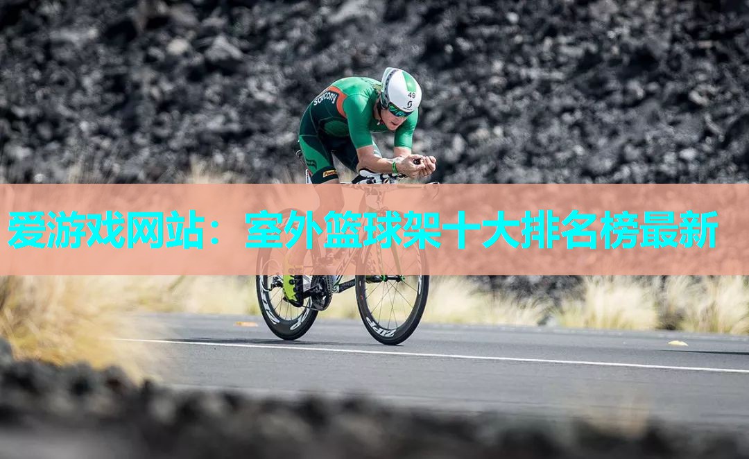 室外篮球架十大排名榜最新