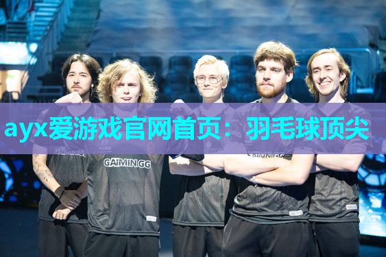 羽毛球顶尖 羽毛球顶尖