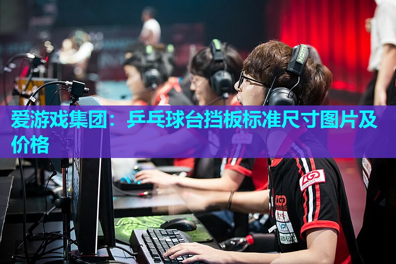 乒乓球台挡板标准尺寸图片及价格 乒乓球台挡板标准尺寸图片及价格