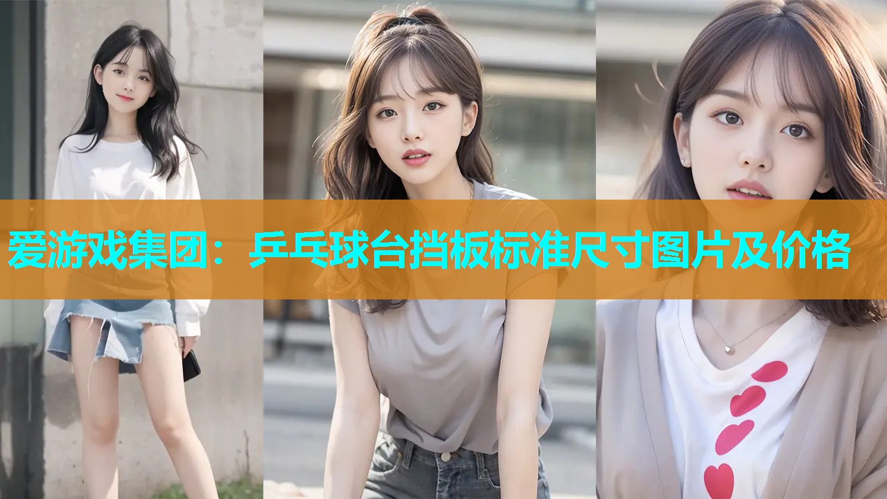 乒乓球台挡板标准尺寸图片及价格 乒乓球台挡板标准尺寸图片及价格