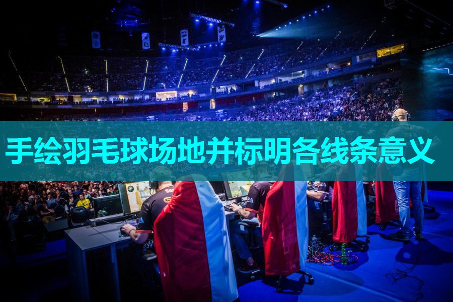 手绘羽毛球场地并标明各线条意义 手绘羽毛球场地并标明各线条意义