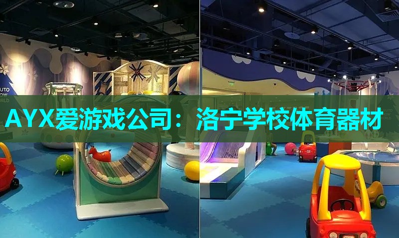 洛宁学校体育器材 洛宁学校体育器材