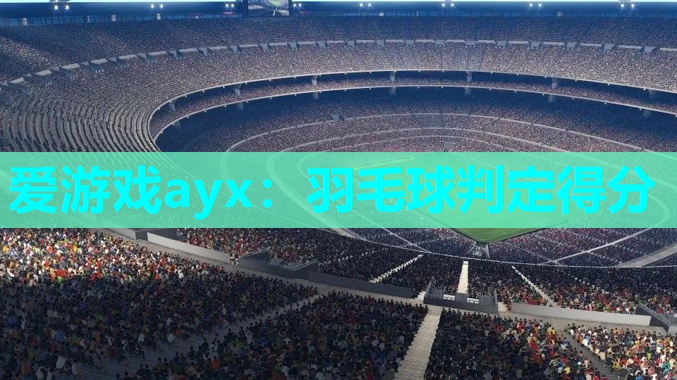 羽毛球判定得分 羽毛球判定得分