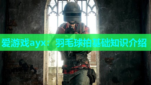 羽毛球拍基础知识介绍 羽毛球拍基础知识介绍