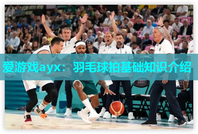 羽毛球拍基础知识介绍 羽毛球拍基础知识介绍