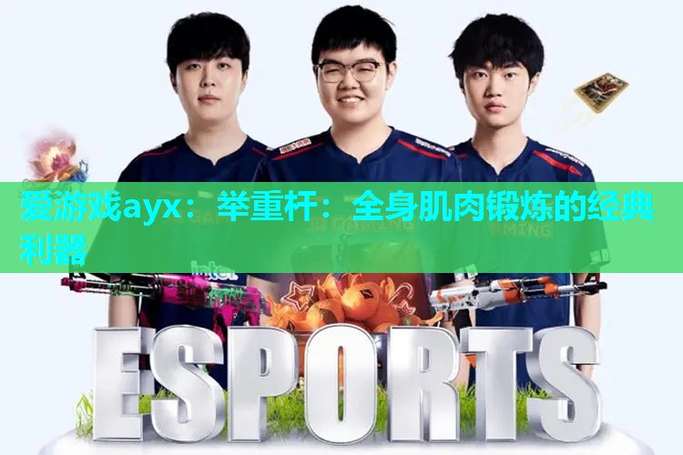 举重杆:全身肌肉锻炼的经典利器 举重杆:全身肌肉锻炼的经典利器